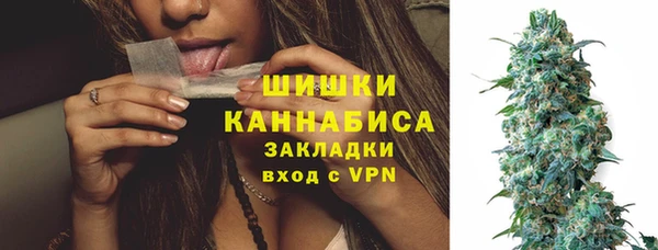 шишки Белокуриха