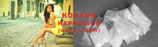 гашик Богородск