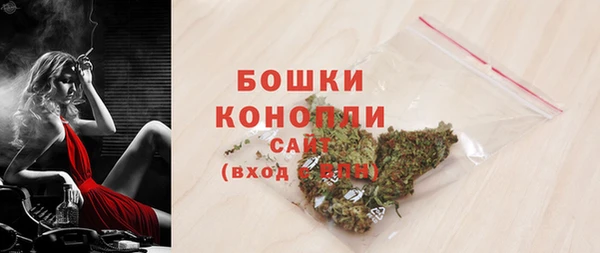 молекула духа Богородицк