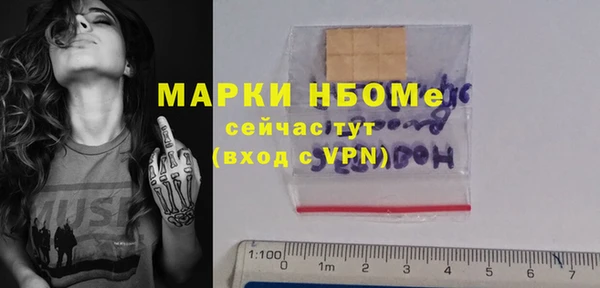 шишки Белокуриха