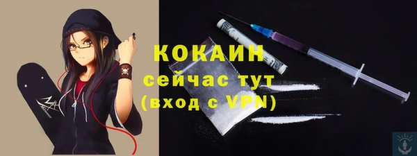 гашик Богородск