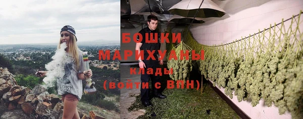 шишки Белокуриха