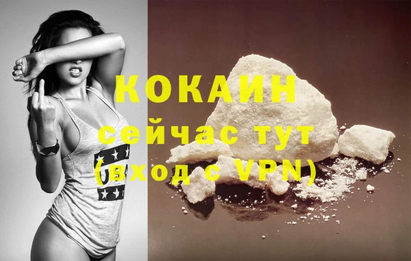 шишки Белокуриха
